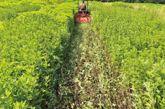 アグリチャレンジ